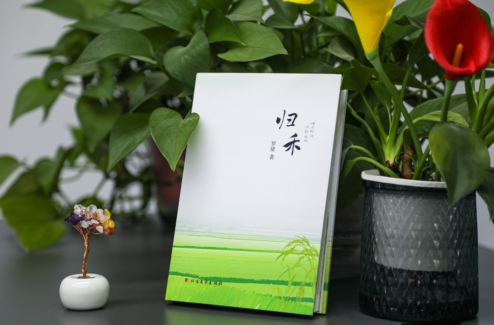 昭化区三百万基金激励创作 新政助力文艺精品繁荣