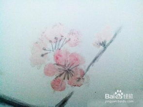 时光的痕迹 过期化妆品与文艺画的诗意邂逅